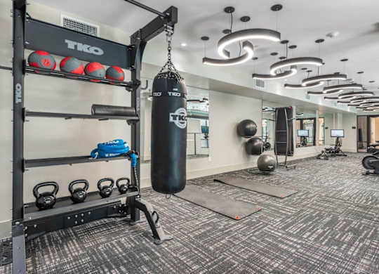 A gym with a punching bag, weights, and exercise equipment.