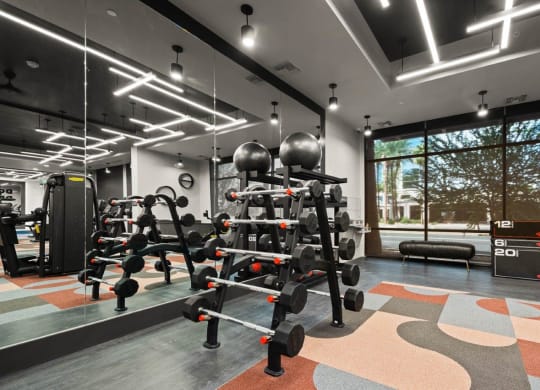 Aura Central Apartments Fitness Center