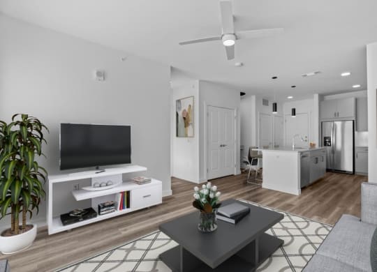 a living room with a television and a kitchen