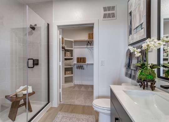 A bathroom with a walk-in shower and a toilet.
