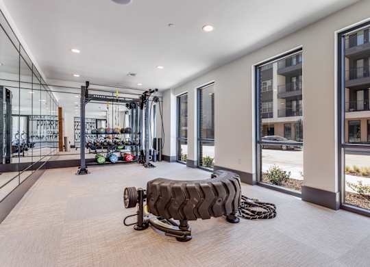 A gym with a row of windows and a row of exercise bikes.