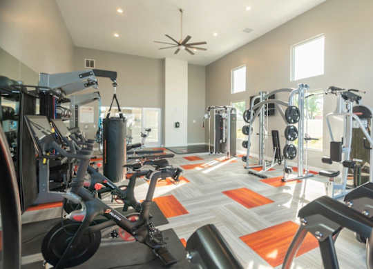 Axio 8400 Fitness Center