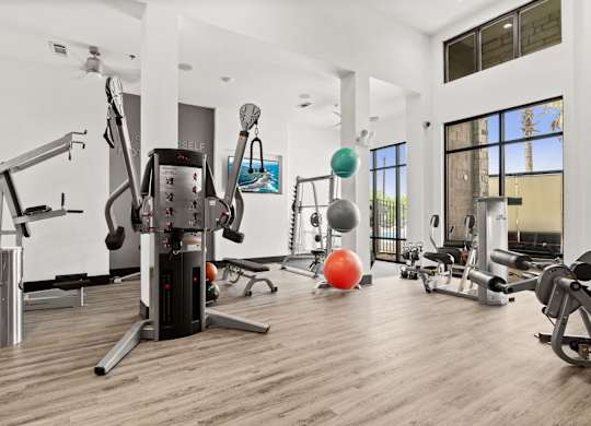 A gym with a variety of equipment including a treadmill, weights, and a bench press.