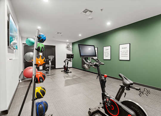 A gym with a stationary bike, exercise balls, and a television.