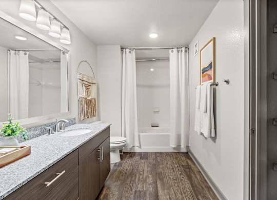 Axis Hamilton Apartments in San Antonio, Texas Model Bathroom