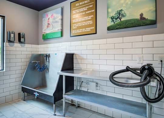 Axis Midtown Apartments in Atlanta, Georgia Pet Spa