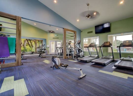 Domain 3201 Fitness Center with Weights and Cardio Machines