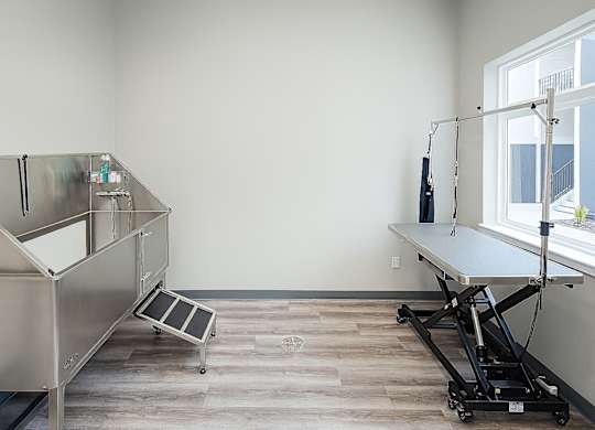 pet washing station with a stainless steel table and a window.