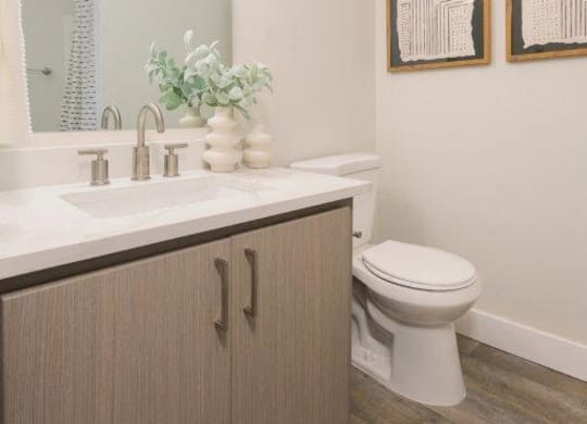 a bathroom with a toilet and a sink and a mirror