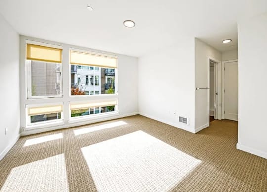 A room with a large window and a carpeted floor.