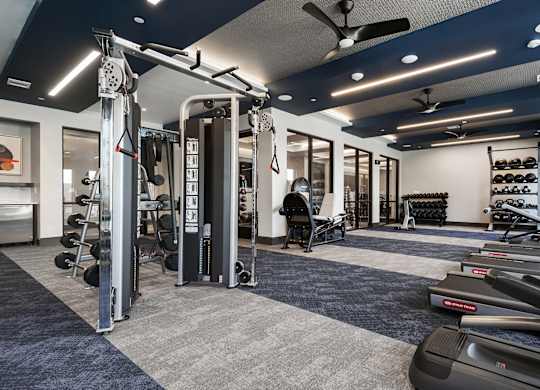 A gym with a variety of equipment including treadmills, weights, and a squat rack.