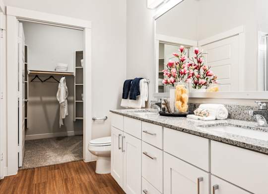 A bathroom with a white vanity, a toilet, and a walk-in shower.