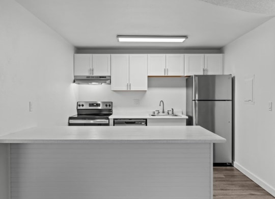 BRIX Apartments Model Kitchen