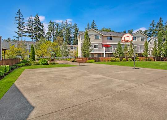 A basketball hoop is in the middle of a concrete court in a residential area.