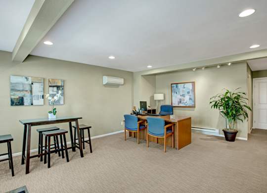 A room with a table, chairs, and a potted plant.