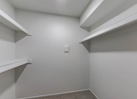 A white closet with shelves and a light switch.