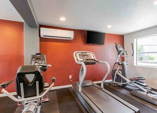 A gym with treadmills and exercise bikes.