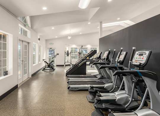 A row of treadmills are lined up in a gym.