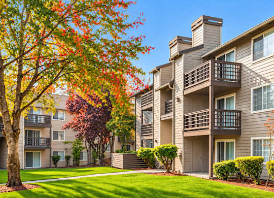 Apartment complex with a tree showing fall colors.