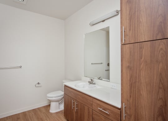 a bathroom with a sink and a toilet and a mirror