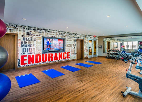 A gym with a variety of equipment including a treadmill, weights, and a bench press.