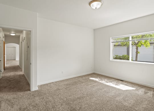 a bedroom with a carpeted floor and a large window