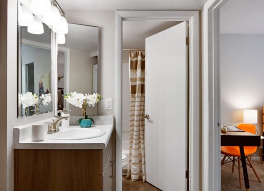 Clover Creek Apartments Bathroom Sink and Door