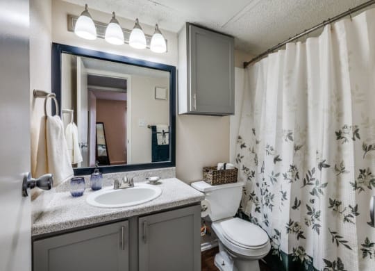 Cobble Hill Apartments in Fort Worth, Texas Model Bathroom