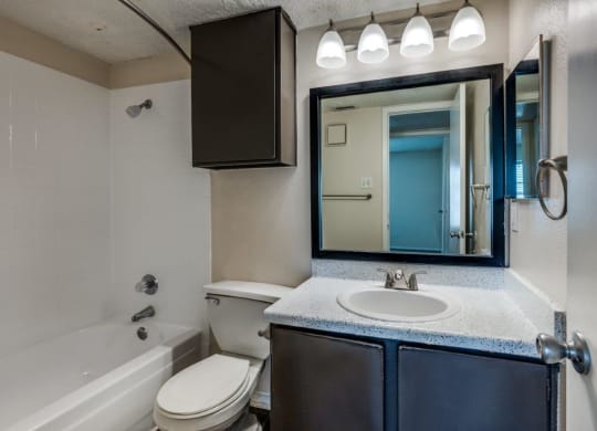 Cobble Hill Apartments in Fort Worth, Texas Bathroom