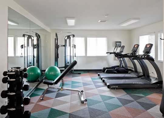 A gym with a variety of equipment including treadmills, weights, and a ball.