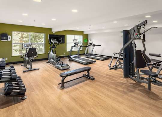 A gym with a variety of equipment including treadmills, stationary bikes, and weight machines.