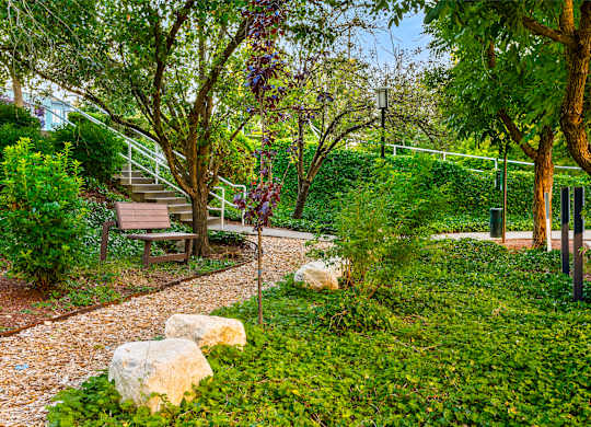 A park with a bench and a pathway.