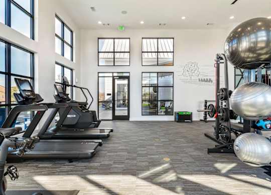 A gym with treadmills, exercise balls, and weights.