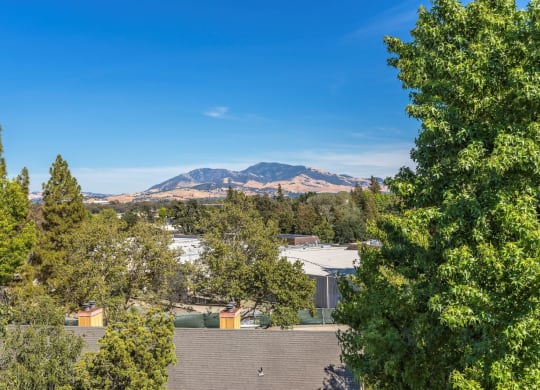 The Crest at Pleasant Hill View of Mountains