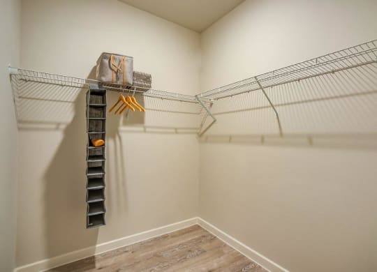 Discovery at The Realm in Lewisville, Texas Walk-In Closet
