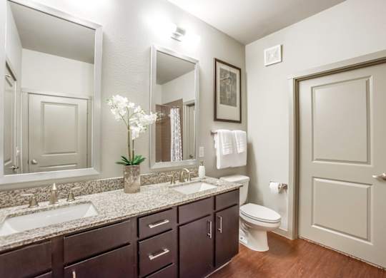 Model Bathroom at Discovery at The Realm, Lewisville