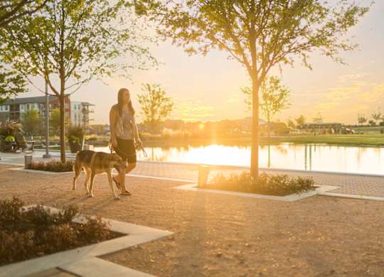 A woman walking her dog in a park during sunset. at Discovery at The Realm, Lewisville, TX