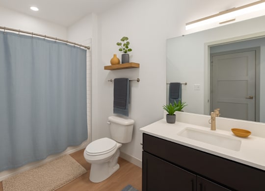 District South Apartments in Fishers, IN Model Bathroom