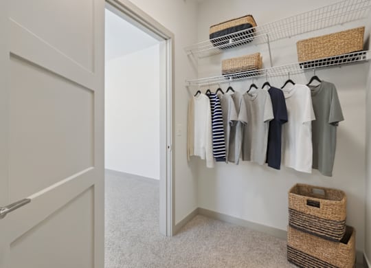 District South Apartments in Fishers, IN Walk-In Closet