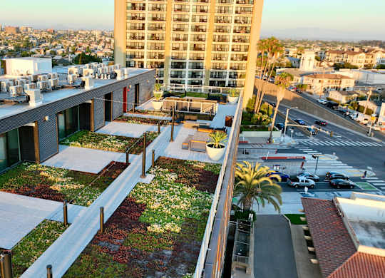OnyxOnPark_SanDiego_CA_green roof