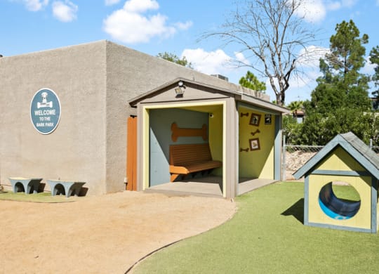 Domain 3201 Apartments Outdoor Dog Park