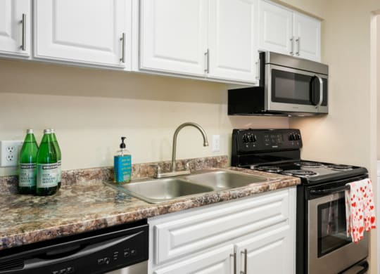 Domain 3201 Model Kitchen