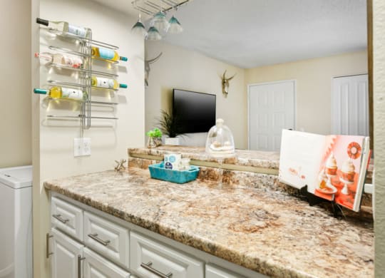 Domain 3201 Kitchen