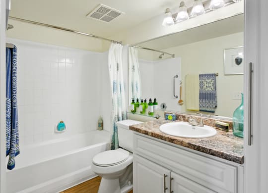 Domain 3201 Apartments Model Bathroom