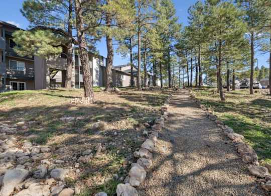 A pathway with rocks on the sides leads through a grassy area with trees.
