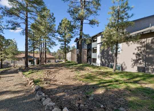 A sunny day at a residential area with trees and houses.