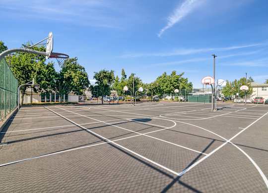 A basketball court with a net and hoop on the left side.