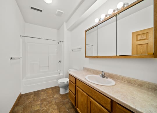 Remington Village Apartments Vacant Bathroom