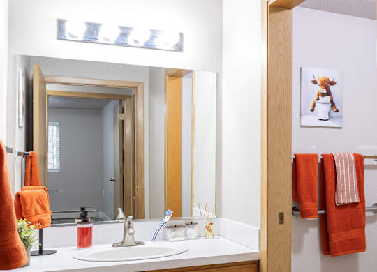 Eagle Rock Apartments in Spokane Valley, Washington Model Bathroom