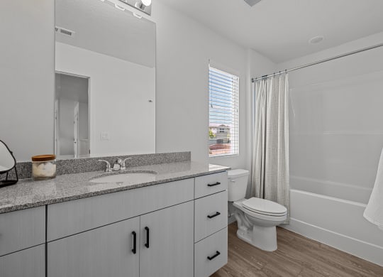 a bathroom with a sink and a toilet and a shower
